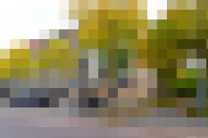 Schapendries 128 Oosterhout thumbnail 31