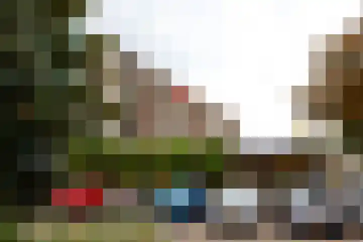 Schapendries 128 Oosterhout thumbnail 32
