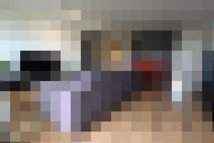 Schapendries 128 Oosterhout thumbnail 6