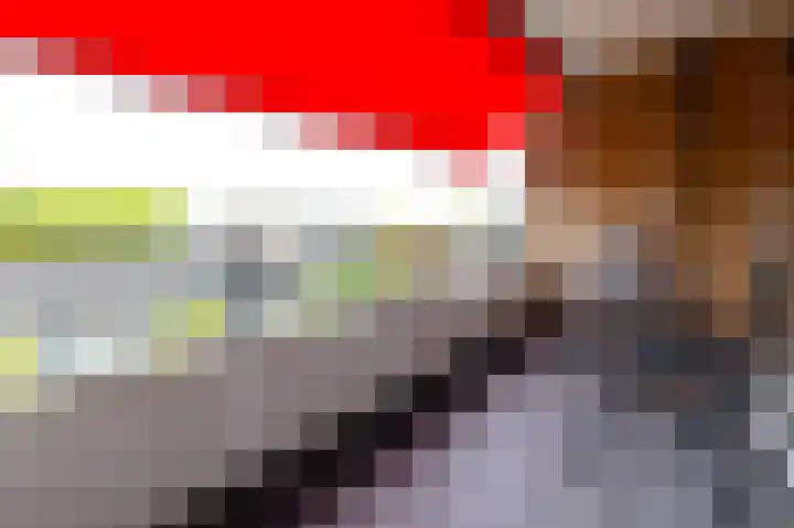 Schapendries 128 Oosterhout thumbnail 8