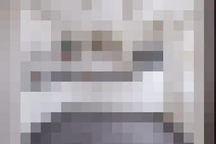 Schapendries 21 Eersel thumbnail 11
