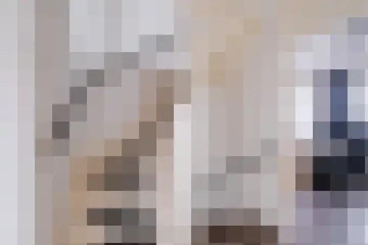 Schapendries 21 Eersel thumbnail 12