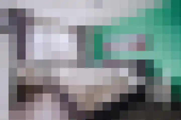 Schapendries 21 Eersel thumbnail 13