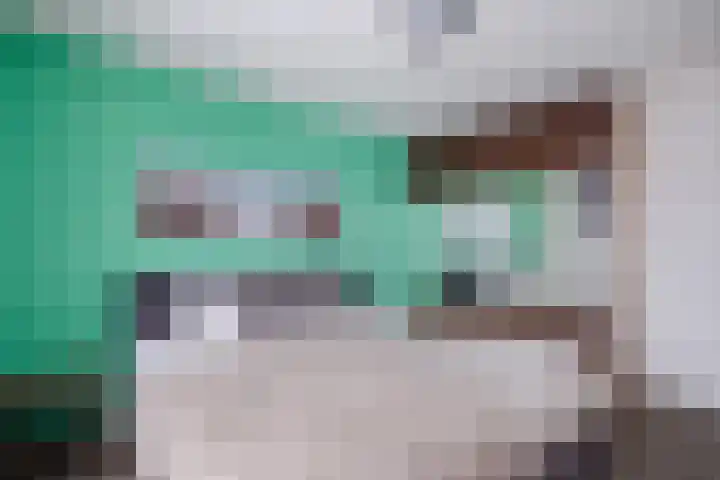 Schapendries 21 Eersel thumbnail 14
