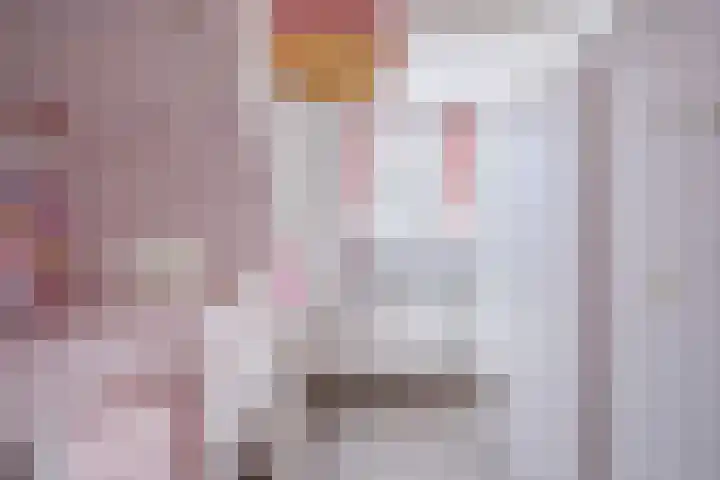 Schapendries 21 Eersel thumbnail 16