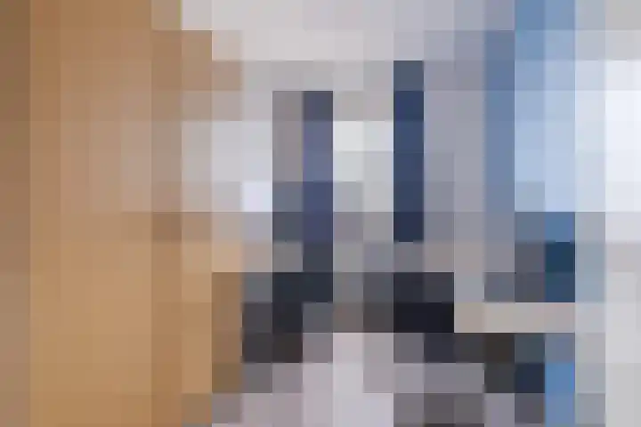 Schapendries 21 Eersel thumbnail 17