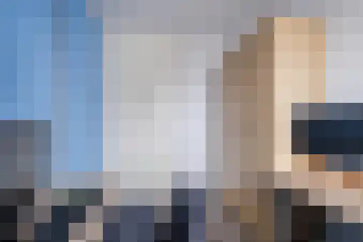 Schapendries 21 Eersel thumbnail 18