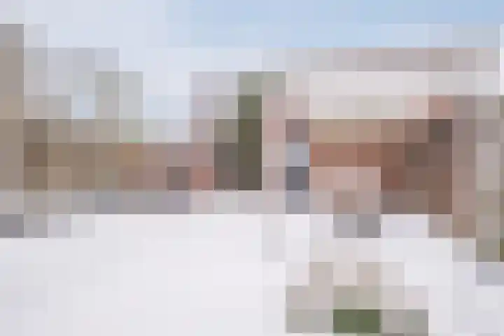 Schapendries 21 Eersel thumbnail 24