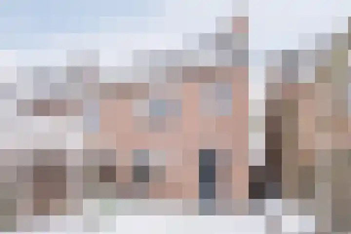 Schapendries 21 Eersel thumbnail 25