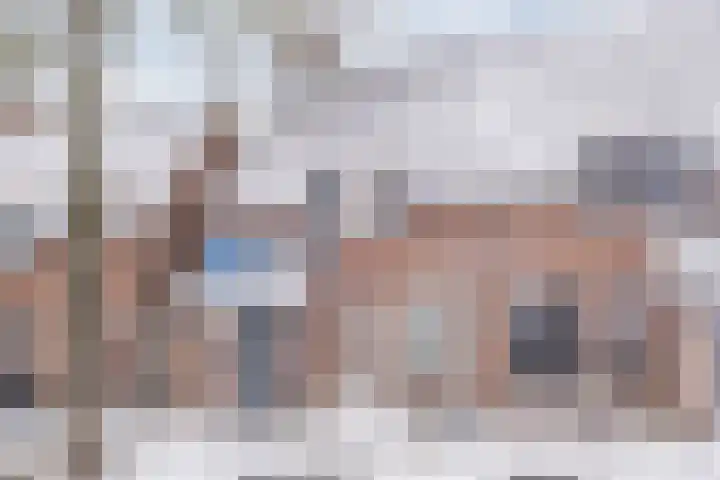 Schapendries 21 Eersel thumbnail 26