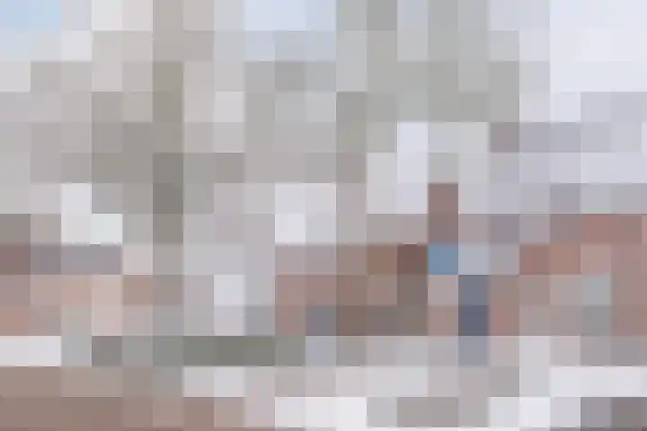 Schapendries 21 Eersel thumbnail 27