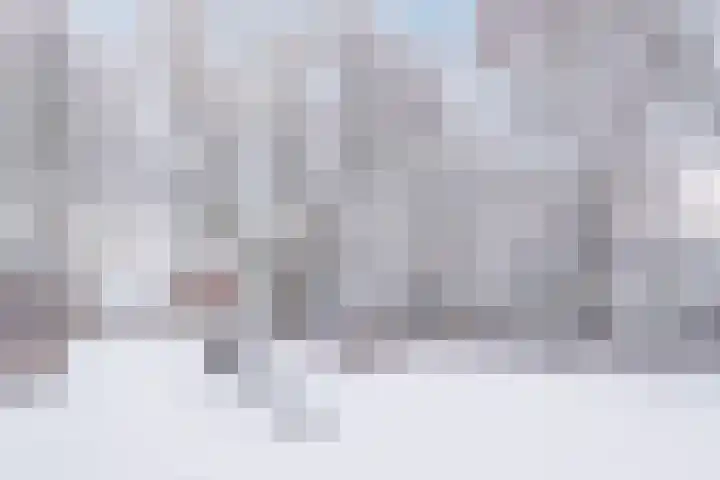 Schapendries 21 Eersel thumbnail 28