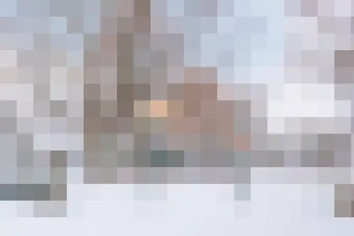 Schapendries 21 Eersel thumbnail 29