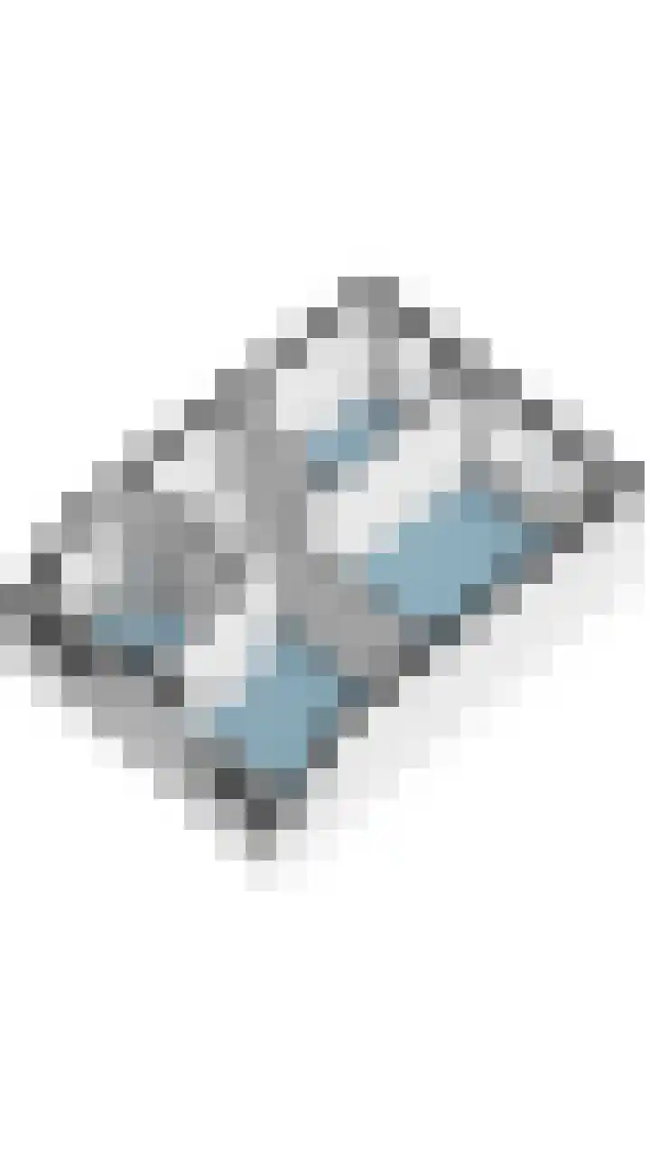 Schapendries 21 Eersel thumbnail 37