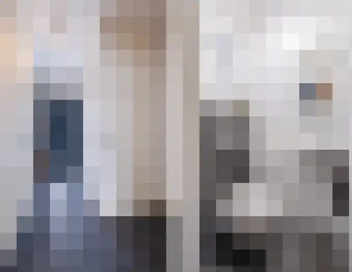 Schapendries 21 Eersel thumbnail 4