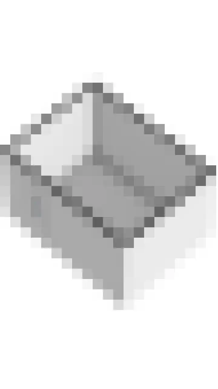 Schapendries 21 Eersel thumbnail 41