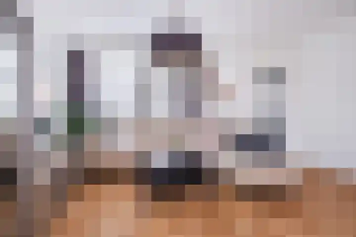 Schapendries 21 Eersel thumbnail 6