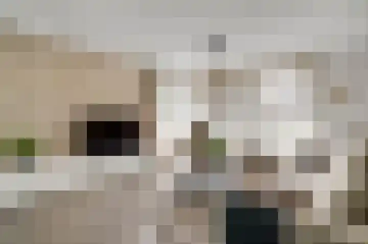 Schapendries 5 Roermond thumbnail 10