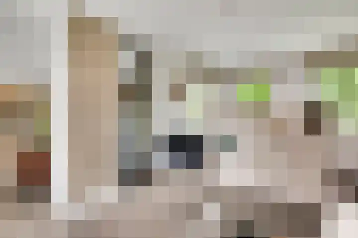 Schapendries 5 Roermond thumbnail 12