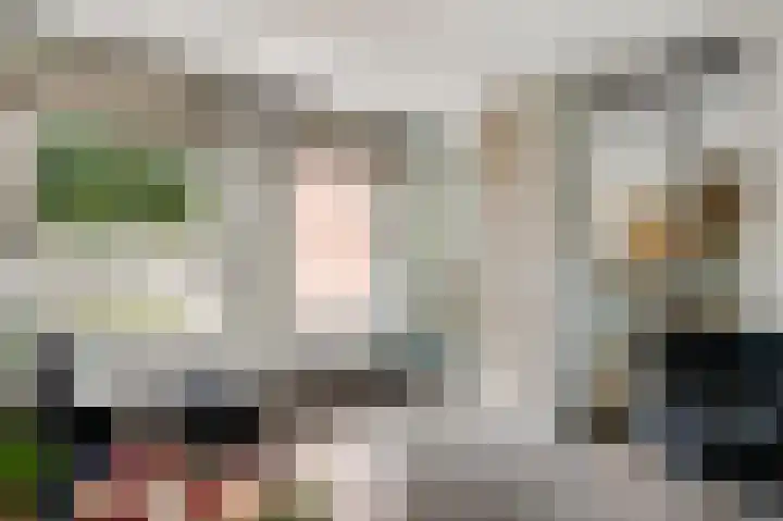 Schapendries 5 Roermond thumbnail 13