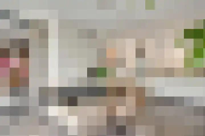 Schapendries 5 Roermond thumbnail 17