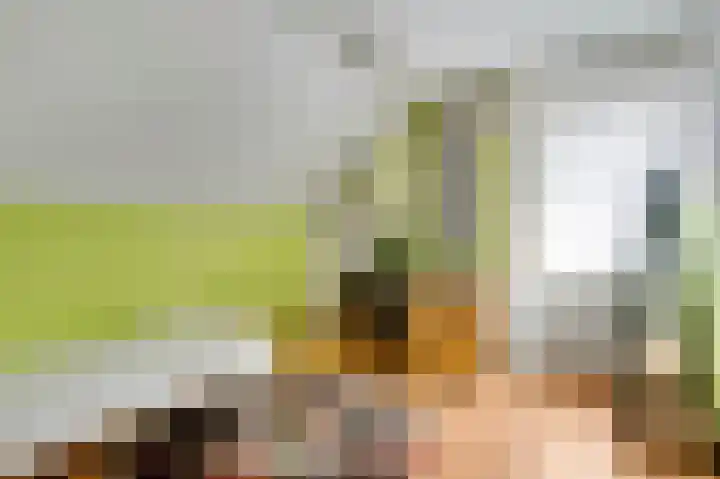 Schapendries 5 Roermond thumbnail 20