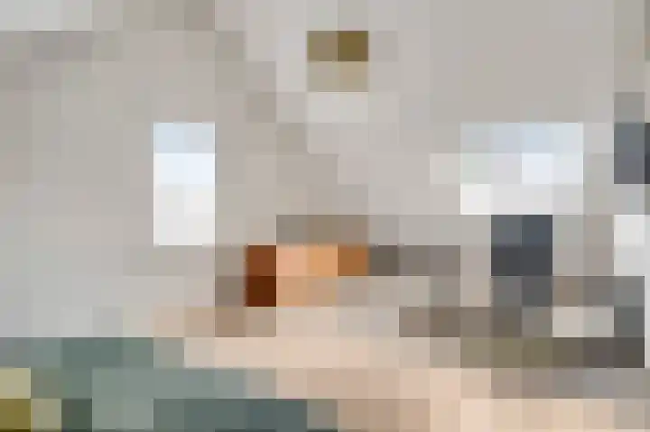 Schapendries 5 Roermond thumbnail 22