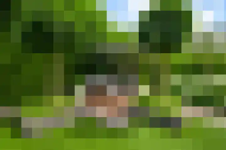Schapendries 5 Roermond thumbnail 28