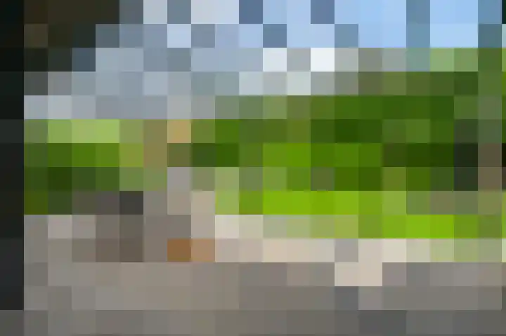 Schapendries 5 Roermond thumbnail 29