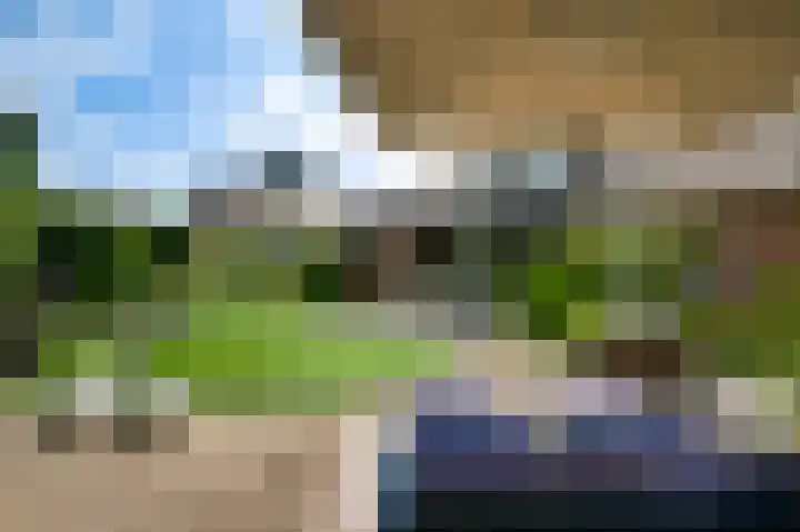 Schapendries 5 Roermond thumbnail 31