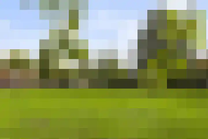 Schapendries 5 Roermond thumbnail 32