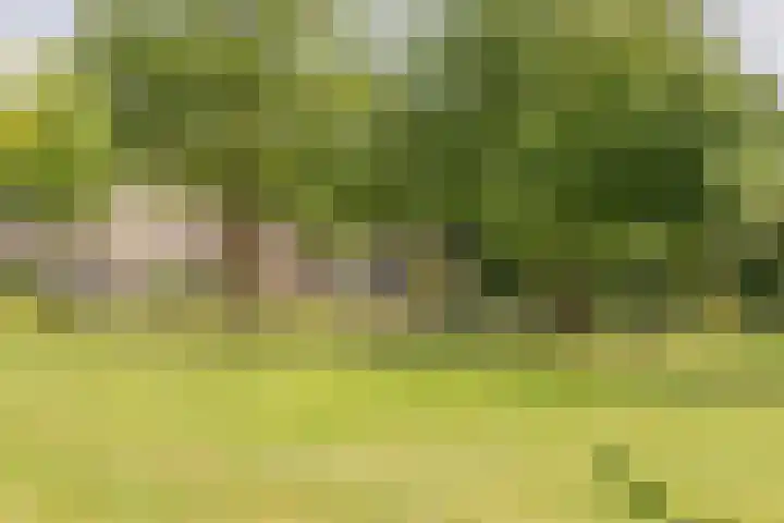 Schapendries 5 Roermond thumbnail 33