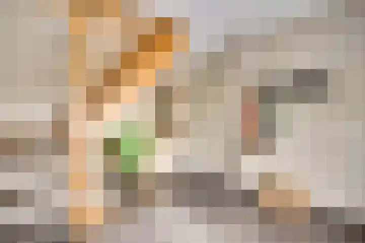 Schapendries 5 Roermond thumbnail 4
