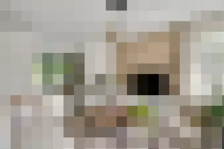 Schapendries 5 Roermond thumbnail 7