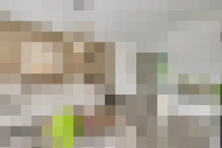 Schapendries 5 Roermond thumbnail 8