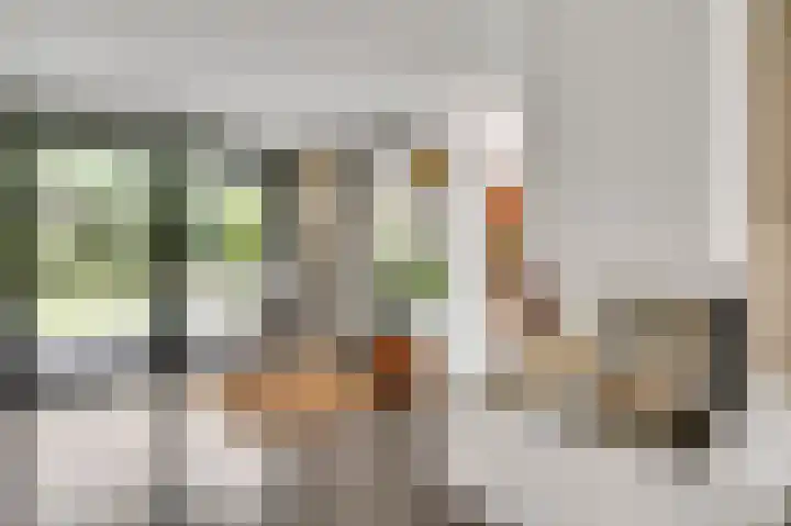 Schapendries 5 Roermond thumbnail 9