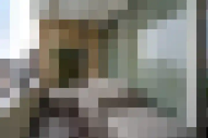 Schapendries 69 Oosterhout thumbnail 10