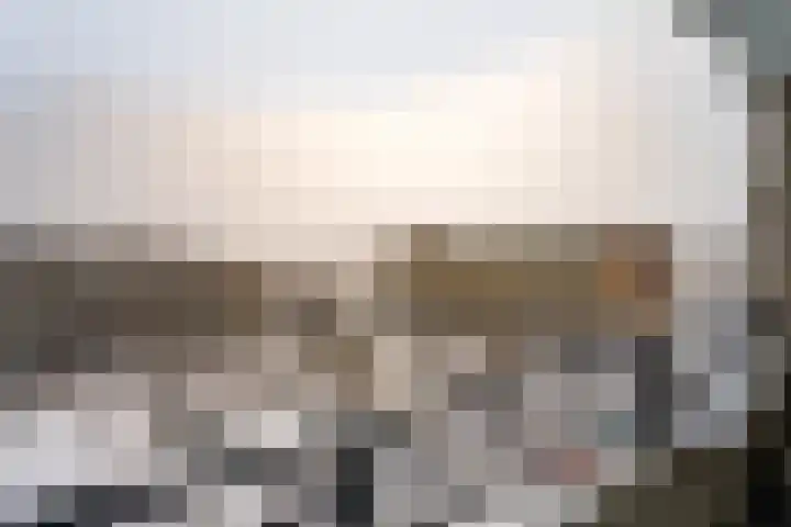 Schapendries 69 Oosterhout thumbnail 11