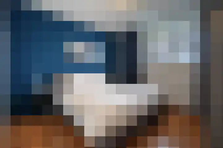 Schapendries 69 Oosterhout thumbnail 13
