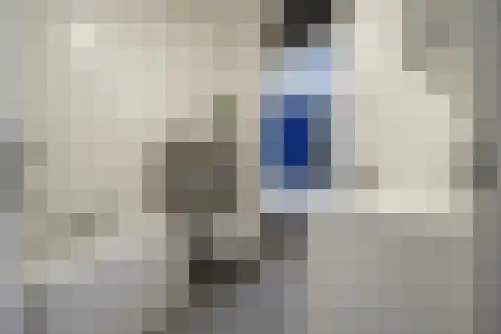 Schapendries 69 Oosterhout thumbnail 17