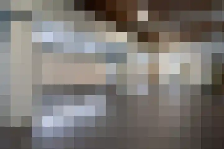 Schapendries 69 Oosterhout thumbnail 20