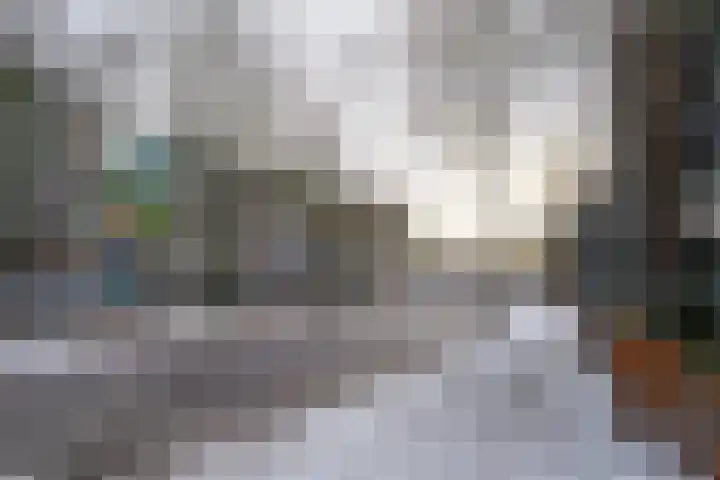 Schapendries 69 Oosterhout thumbnail 21