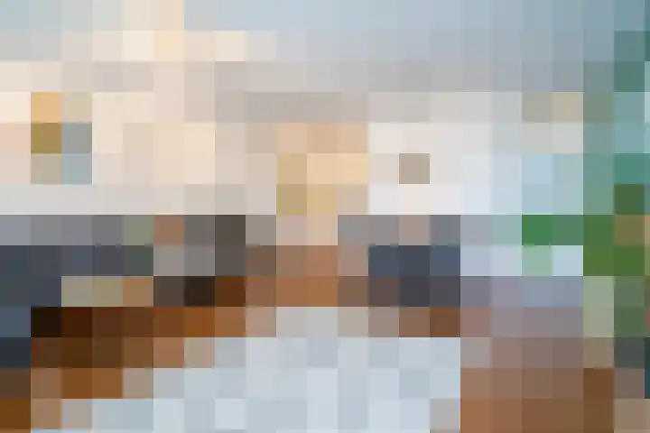 Schapendries 69 Oosterhout thumbnail 5