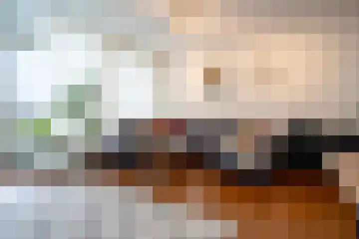 Schapendries 69 Oosterhout thumbnail 6