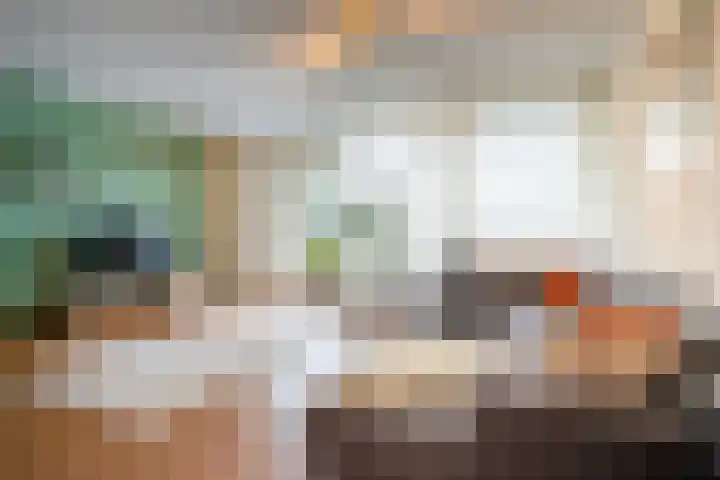 Schapendries 69 Oosterhout thumbnail 7