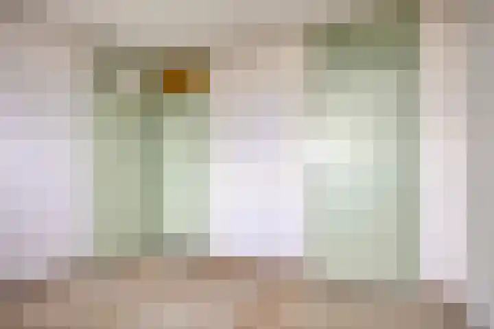 Schapendries 73 Oosterhout thumbnail 21