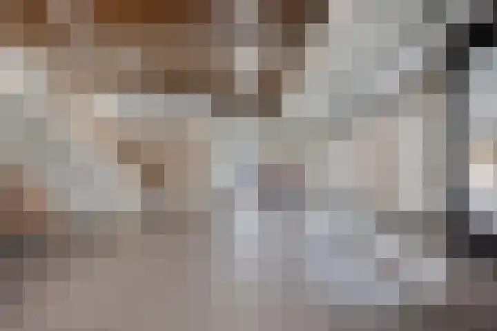 Schapendries 73 Oosterhout thumbnail 8