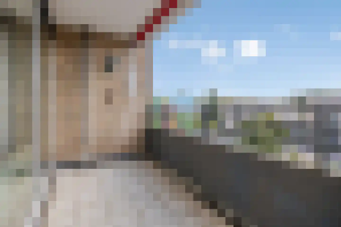 Schapendries 74 Oosterhout thumbnail 4