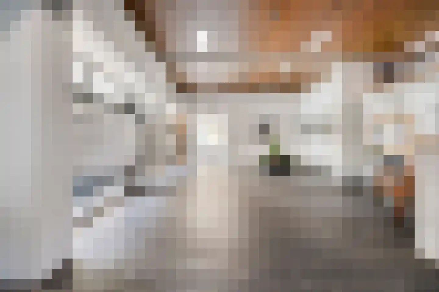Schapendries 74 Oosterhout thumbnail 8