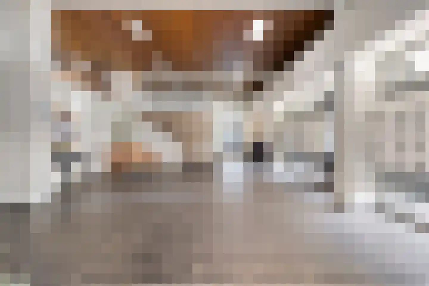 Schapendries 74 Oosterhout thumbnail 9